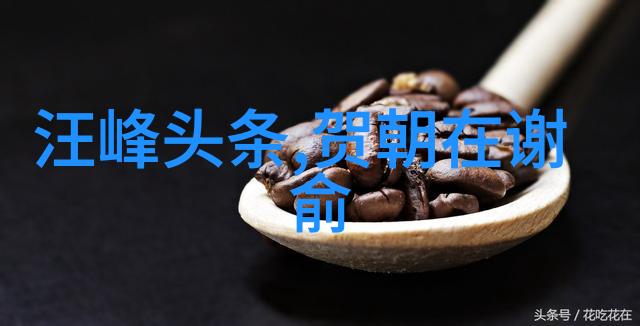 南拳妈妈 抢登长城当好汉