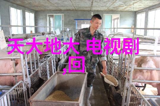 在娱乐圈中寻找灵魂伴侣关于薛之谦的一种社交游戏体验