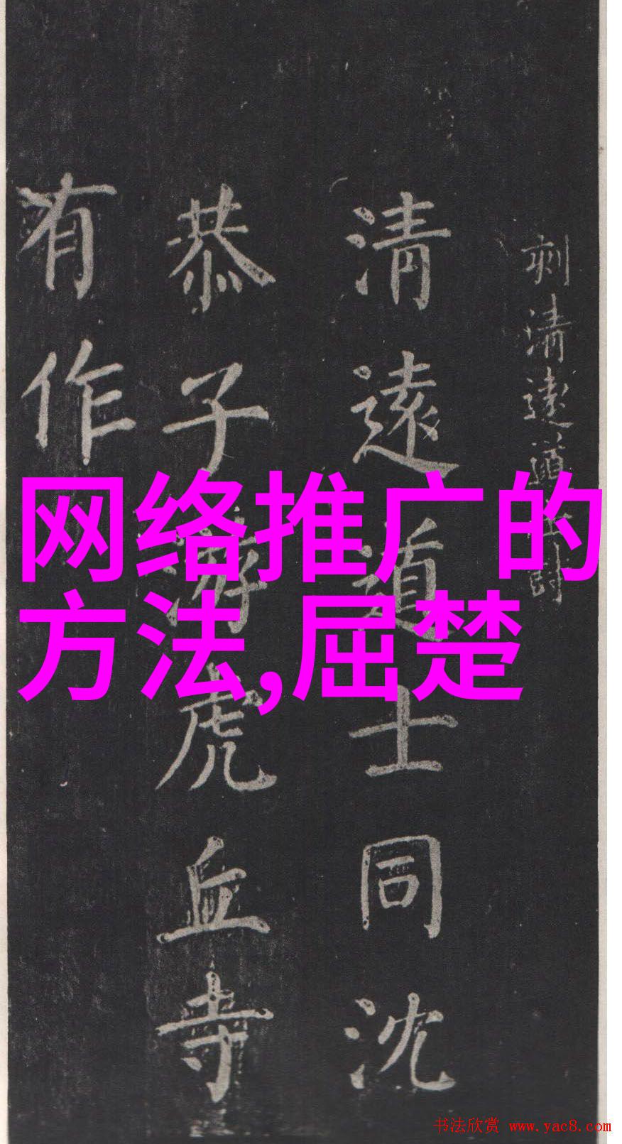 王冰冰网红简介揭秘她的年龄身高体重及离婚真相