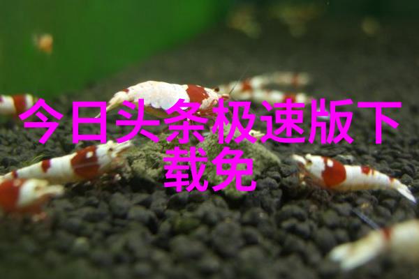 乾坤八卦图解揭秘宇宙之谜与生命之道