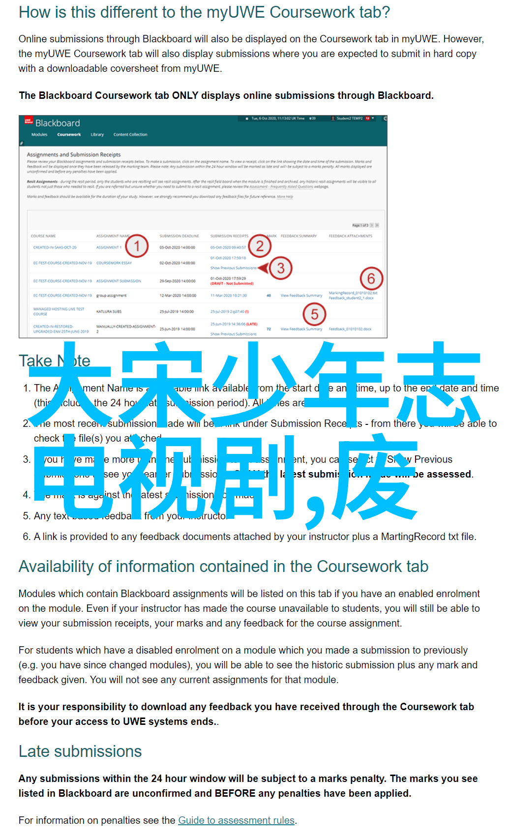 央视综艺我是怎么在直播间里遇见你的