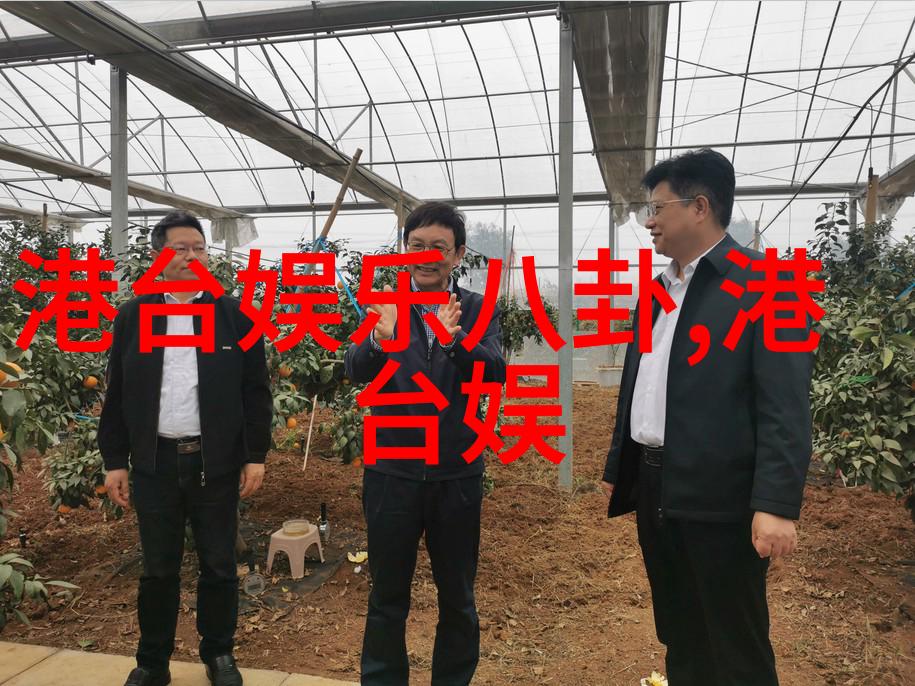 娱乐圈新宠最新综艺节目中哪些元素让它迅速走红