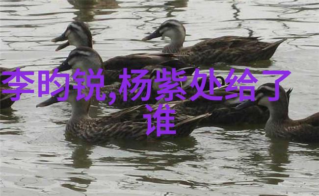 音乐剧搭错车如同一辆穿越亚欧大陆与南极洲无缝对话的火车台北三场演出中星光璀璨口碑热潮不绝于耳下一站台