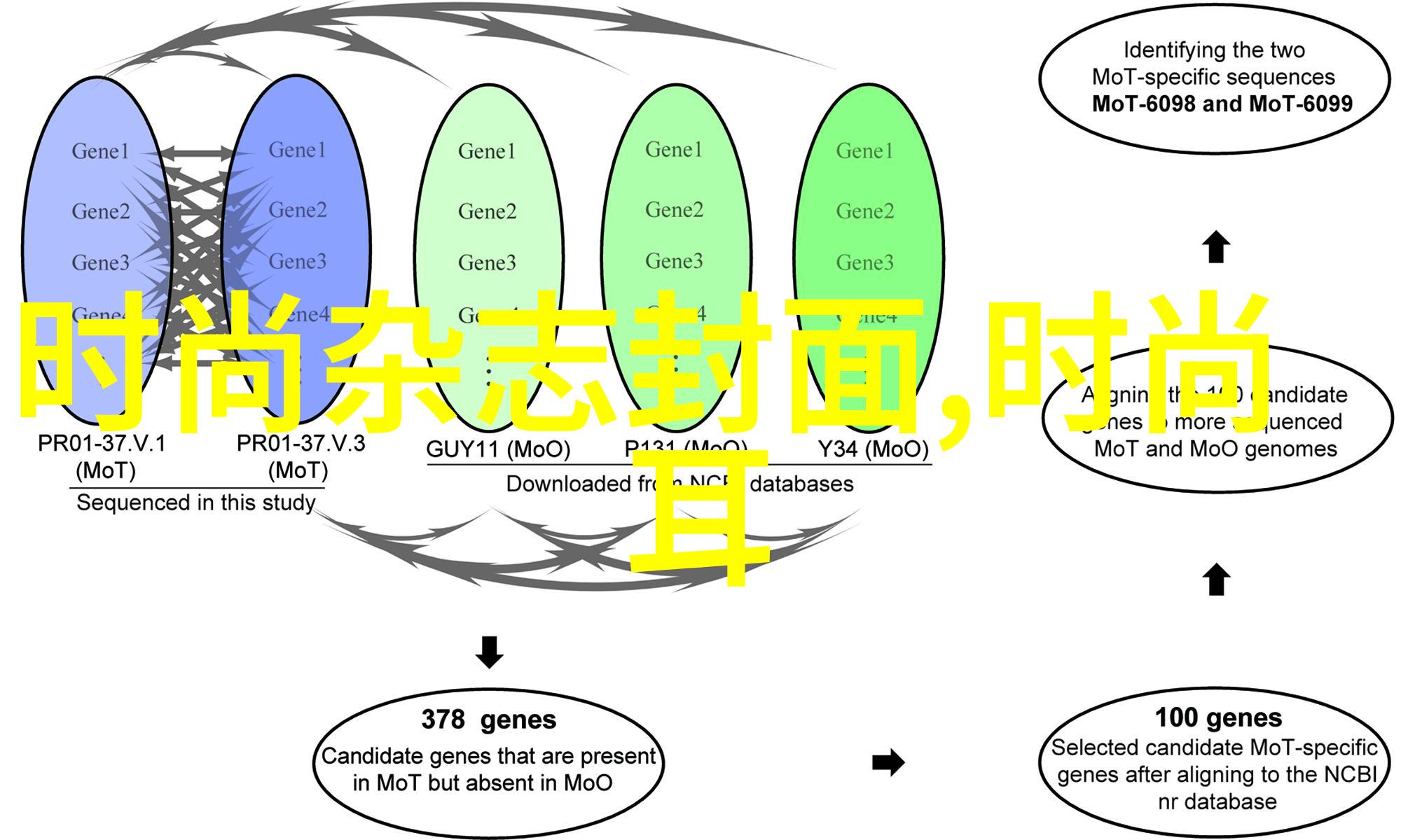 iPad轻触屏幕16GB内存的智慧随行伙伴