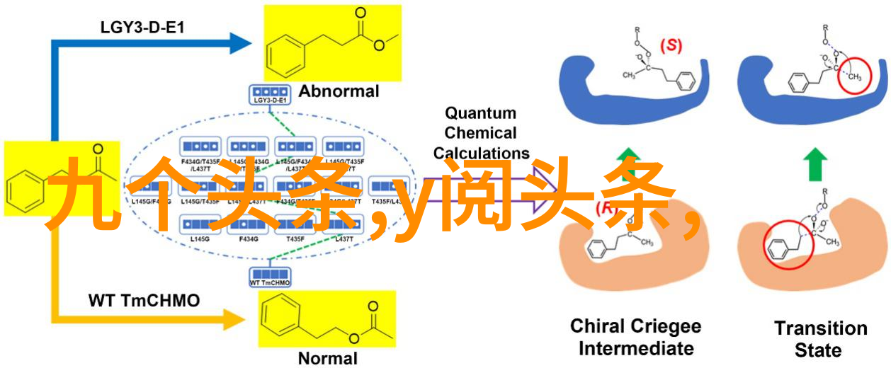 雪梨网红个人资料真名被揭秘为什么与老公的关系突然曝光她为何选择停止直播