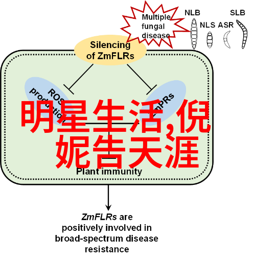 我的蠢萌老公电视剧中的生活真实版他总是让我笑到停不下来