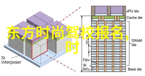 综艺巴士我是怎么在跳舞街区上撩到主持人的