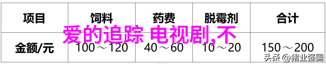 夜幕下的直播盛宴探索适合晚间观赏的最佳内容