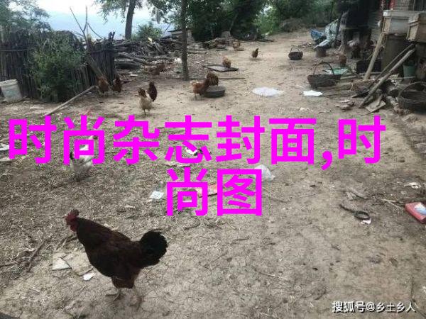 电影之旅敢死队4完整版的无价价值