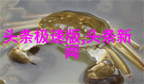 未能绽放的梦想与希望