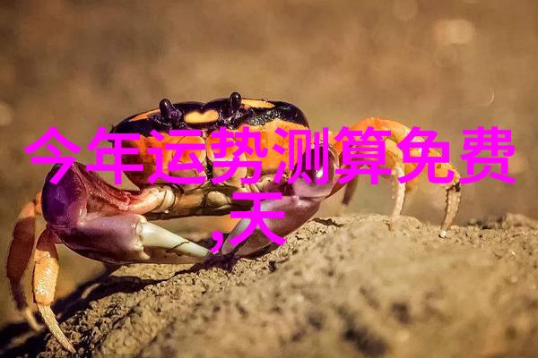 央视综艺风采星光熠熠笑语连连