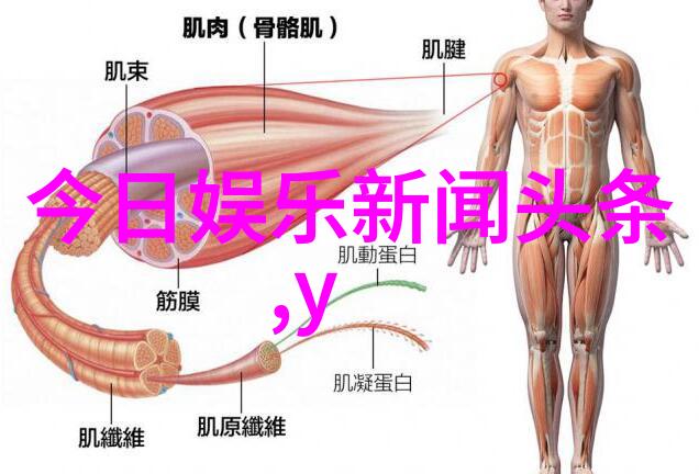 探索地球的多样性大陆地区的奇迹与魅力