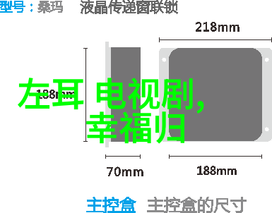 校园美丽与才华双全的故事青春绽放