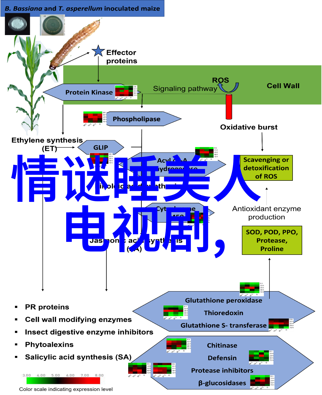 中国有嘻哈综艺场外借钱热潮吴亦凡带火环绕比心舞步全场爆燃