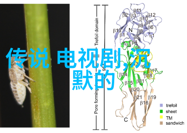 宋智雅恋爱综艺甜蜜披露与真实探秘