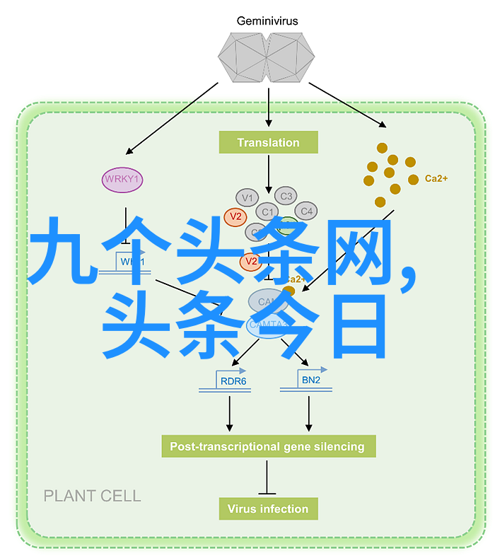 台湾和大陆的关系-跨海情缘深度探索两岸交流与合作的新篇章