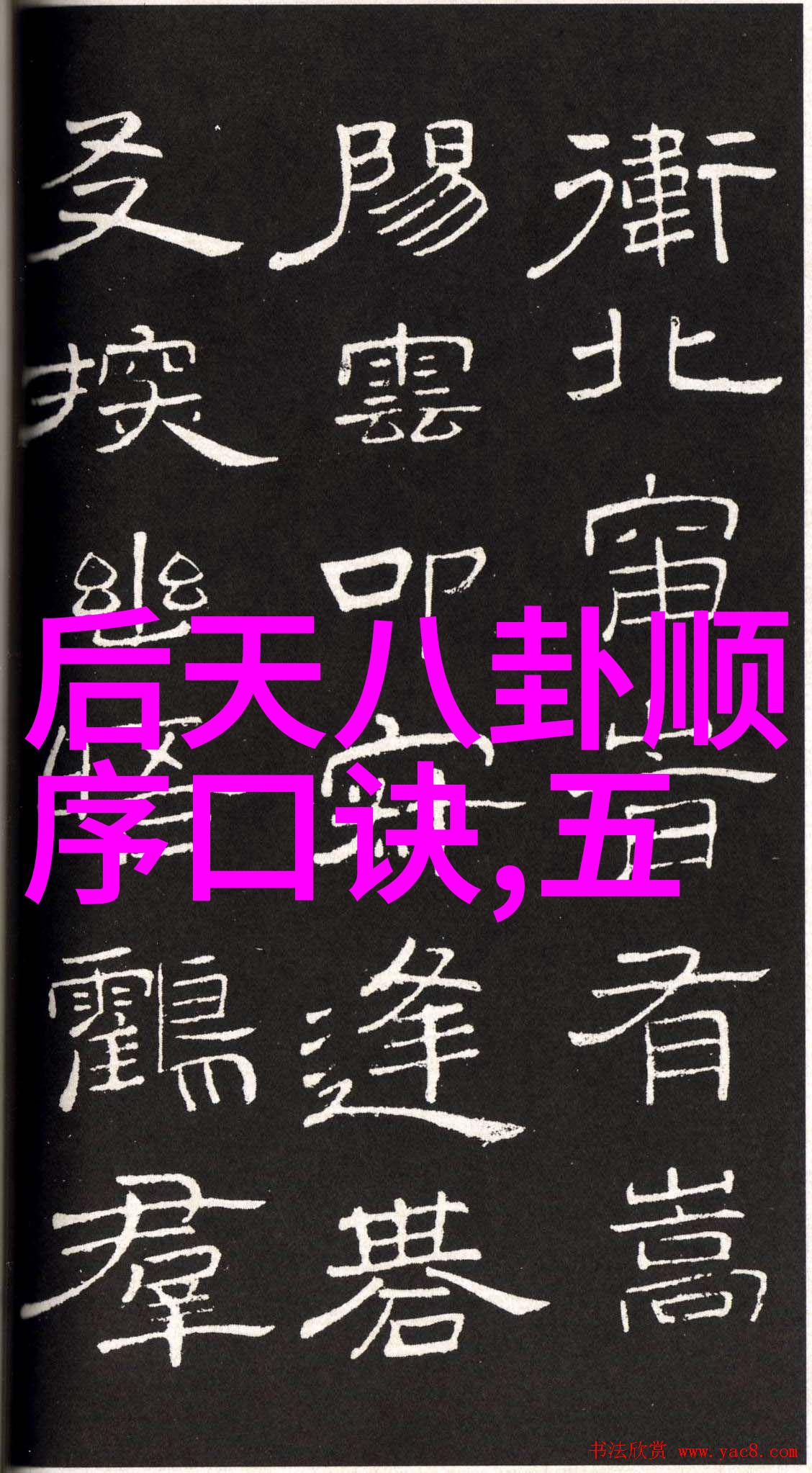 张艺兴在向往的生活6中像一位晚餐后分得蘑菇屋掌勺的大厨喜提张哥称号在台湾综艺节目中闪耀着独特光芒