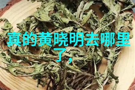 爱情的裂痕赵丽颖与冯绍峰婚姻的沉默背后