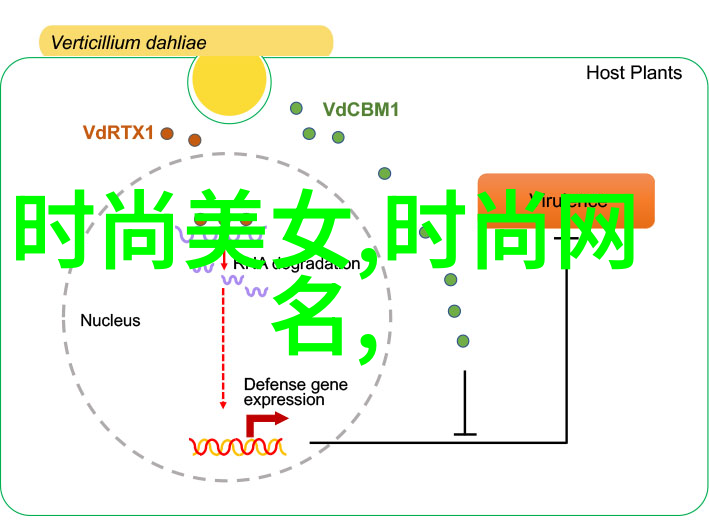 跨海桥梁探讨台湾对大陆开放的时机与条件