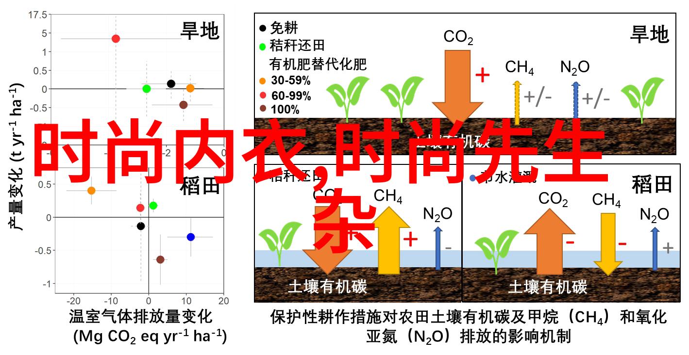 写真图片 - 拍摄技巧与后期处理艺术的完美结合