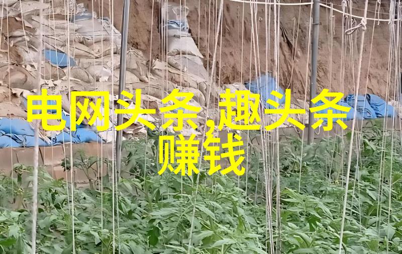 探秘421页PDF的恶心之源揭露最让人作呕的篇章