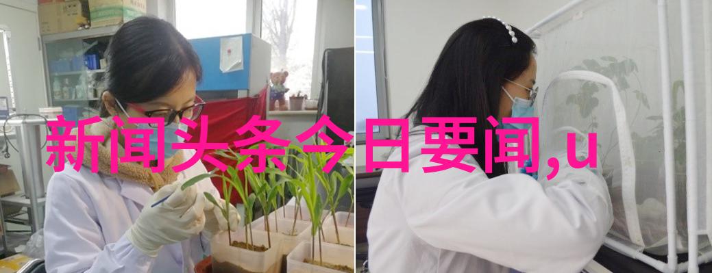 穿成女儿奴大佬的前妻免费阅读我是被遗忘的那个人从娇妻到闲散贵族夫人的逆袭记