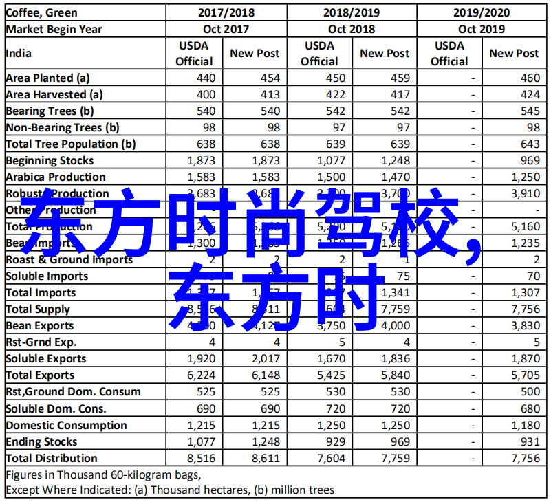 不适合佩戴八卦吊坠的人群选择与文化背景的融合