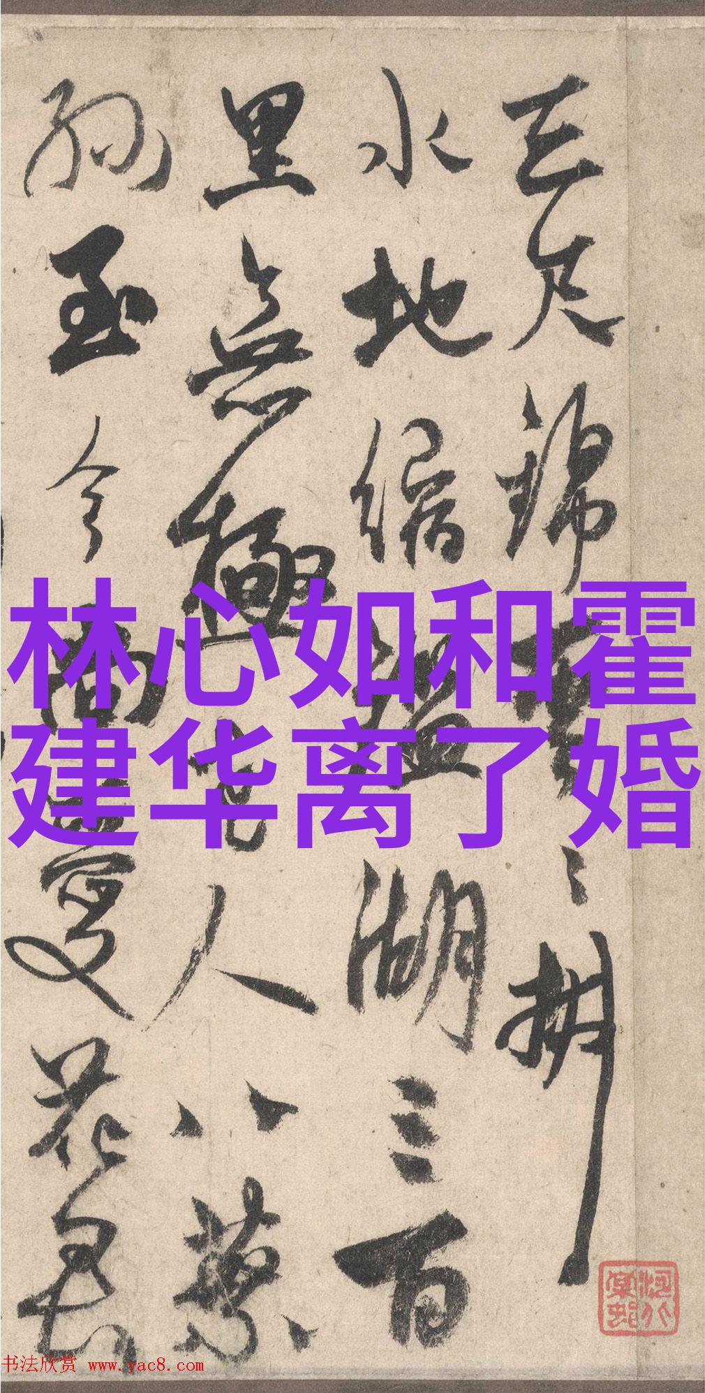 音乐与时尚交融抖音十大神曲解析