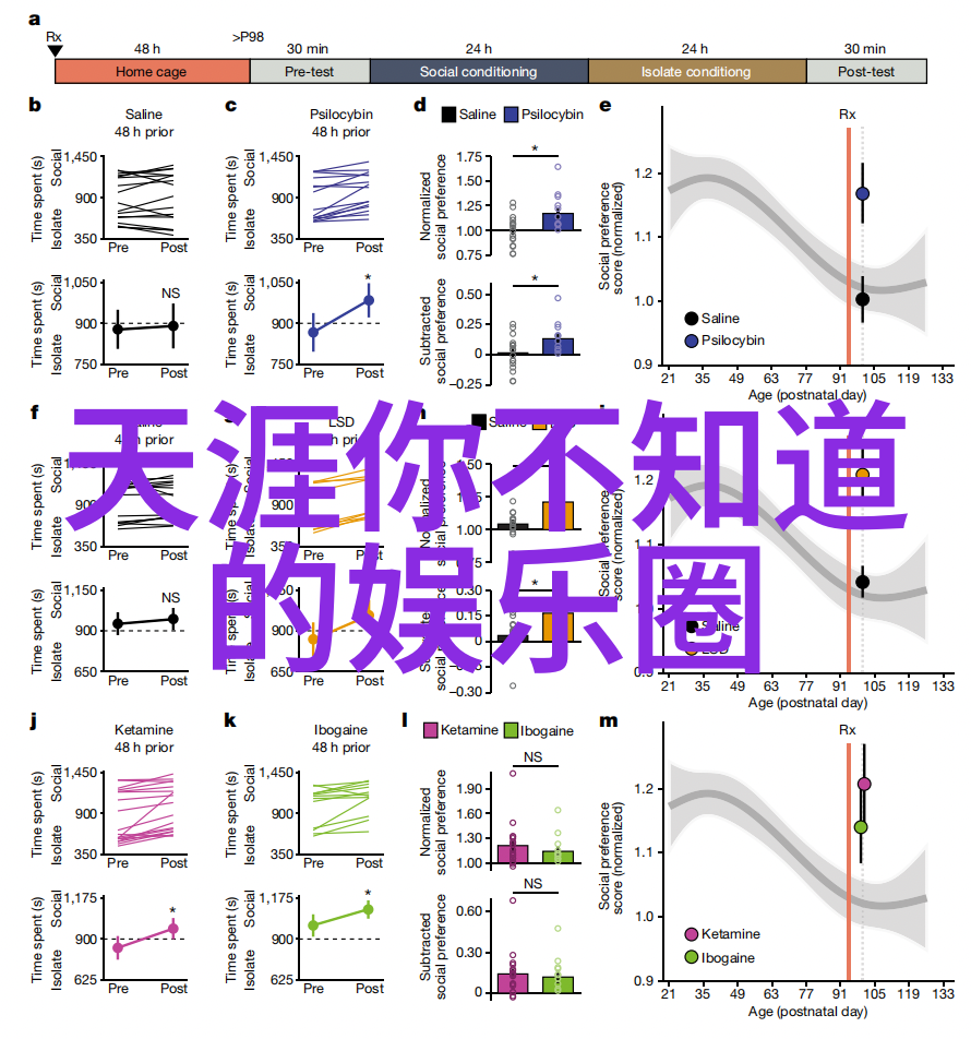 现场即景拍摄技巧让你成为一名真正的写真师