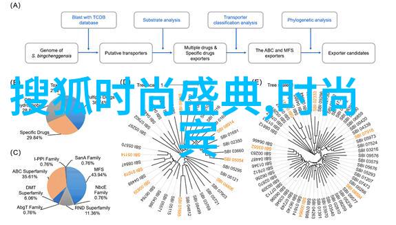 豪宅探秘-雪梨朱宸慧豪宅的神秘所在揭秘悉尼最隐秘的富人区