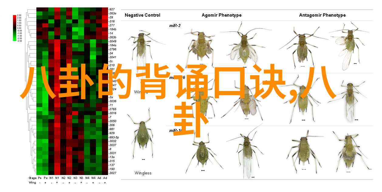 青春舞动星光下的青娱乐盛宴