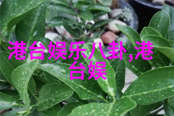 花火视频影视大全免费观看-绽放的色彩花火视频带来的无限娱乐盛宴