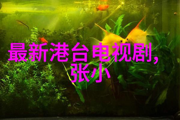 花姐影视我是如何在花姐影视公司成为一名小编的