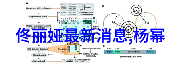 英雄联盟高校排行榜-逐星之旅高校英雄联盟排行榜揭秘