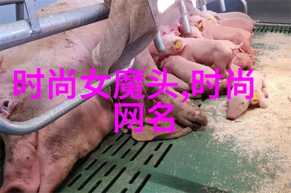 300501我是怎么在这场生死较量中活下来的