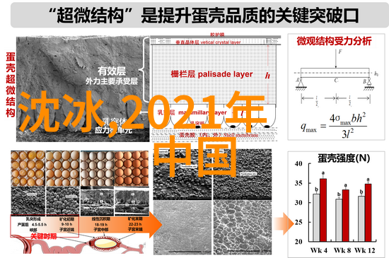 十九岁日本电影免费完整版观看揭秘青春梦想的故事