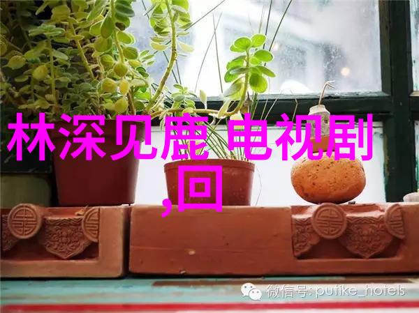 小苹果影视盒子揭秘桑酒与冥夜的神秘情缘直到最后的爱恋