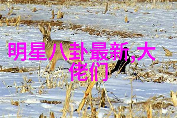 丁海峰电视剧我家有个丁海峰他的每一部经典都教会了我什么