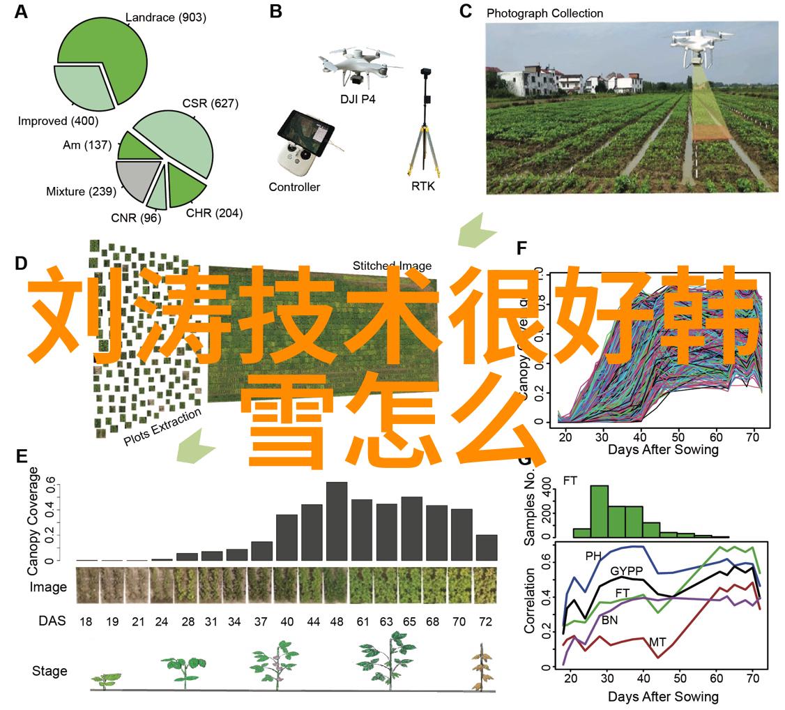 天美影视传媒有限公司推荐哪些电影时长超过4小时的经典神作