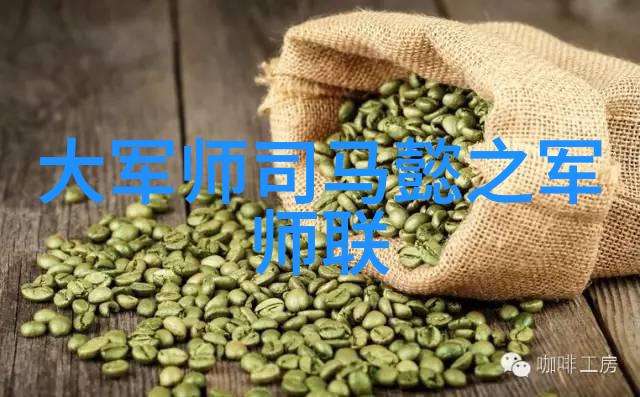 风华正茂台湾的未来之歌