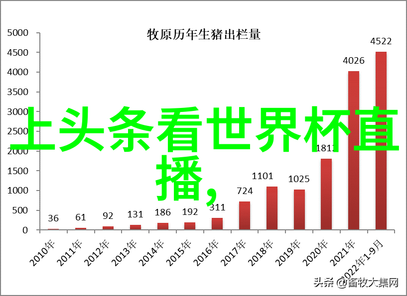 天天娱乐网太湖迷笛音乐节成功落幕现场如同千古诗篇让乐迷们心旷神怡