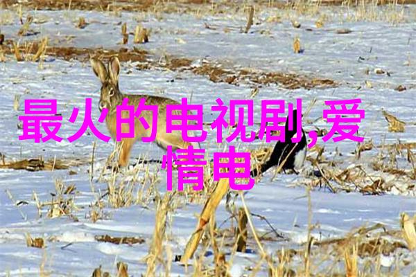 雪梨网红和老公甜婚记