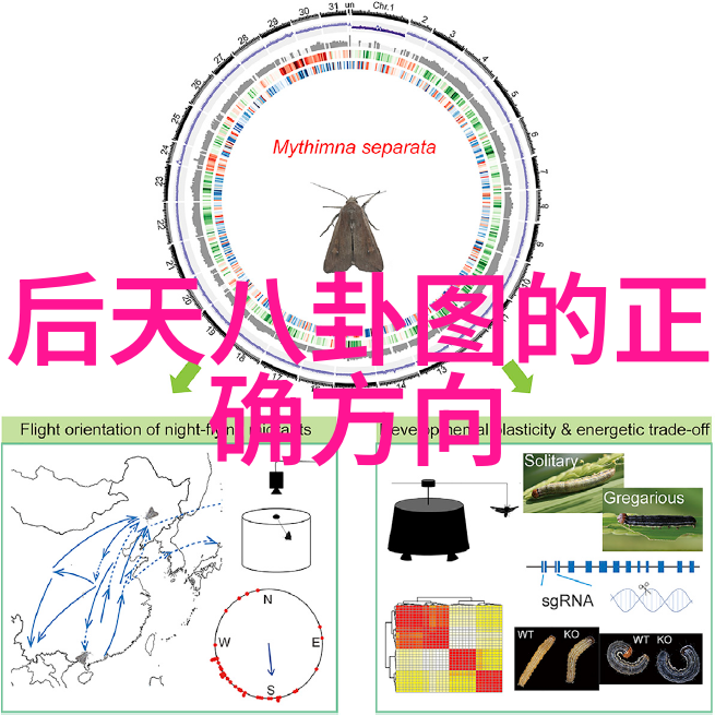 海韵荡漾影视中的大海奇遇