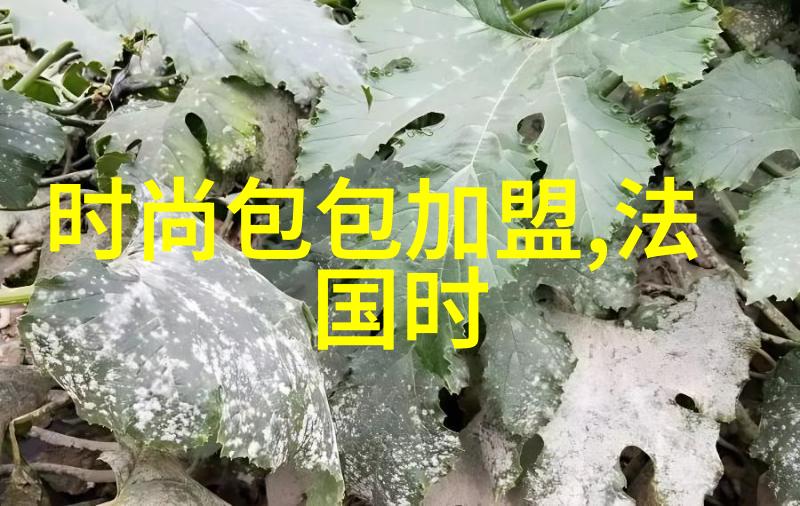 泡泡影视能否成为下一个流行娱乐平台