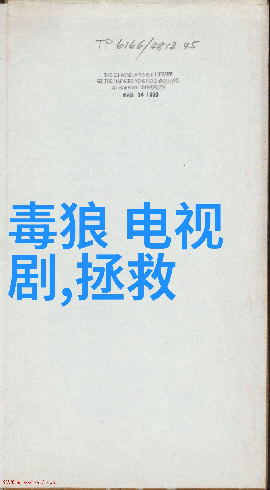 你给我的喜欢五月天的等待与激动见证4万名新加坡歌迷的热烈欢呼