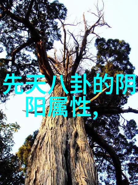 娱乐 综艺节目笑声与挑战的无限舞台