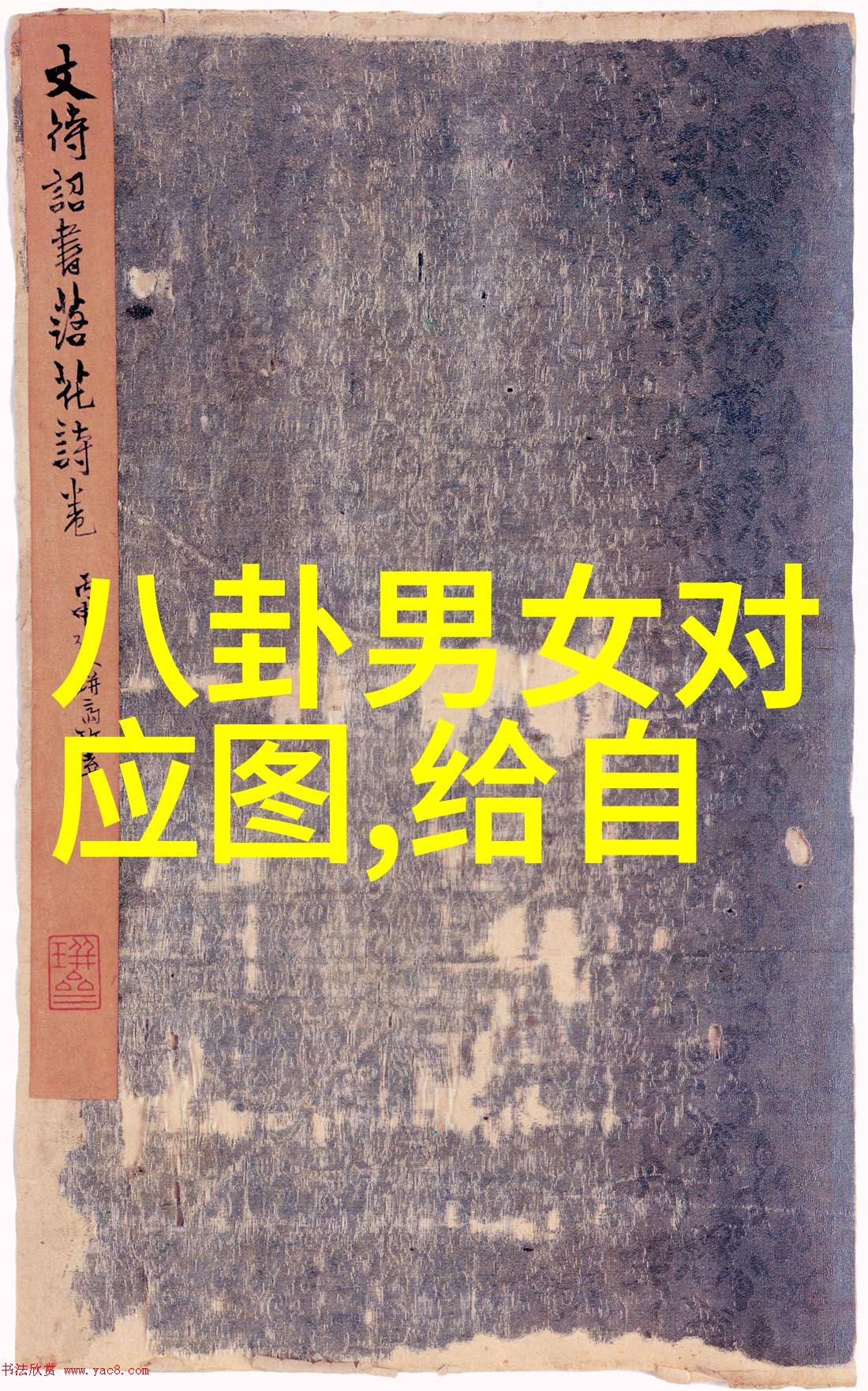 长安三万里熊出没之伴我熊芯电影免费观看7月8日共赴唐风浩荡奇遇